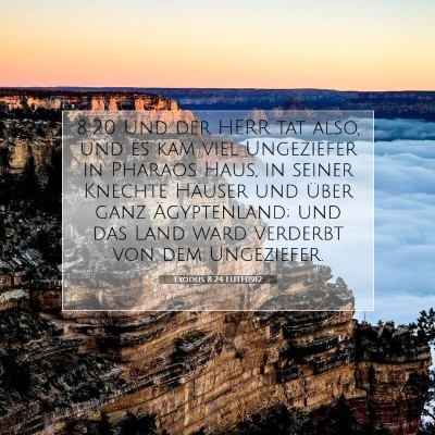 Picture 07 - Exodus 8:24 LUTH1912 - 8:20 Und der HERR tat also, und es kam viel - Bible Verse Picture