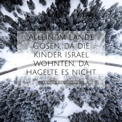 Picture 07 - Exodus 9:26 LUTH1912 - Allein im Lande Gosen, da die Kinder Israel - Bible Verse Picture