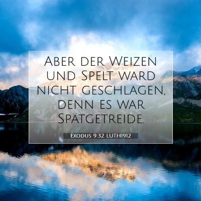 Picture 07 - Exodus 9:32 LUTH1912 - Aber der Weizen und Spelt ward nicht geschlagen, - Bible Verse Picture