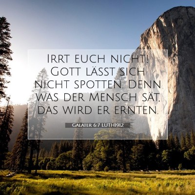Picture 07 - Galater 6:7 LUTH1912 - Irrt euch nicht! Gott läßt sich nicht spotten. - Bible Verse Picture