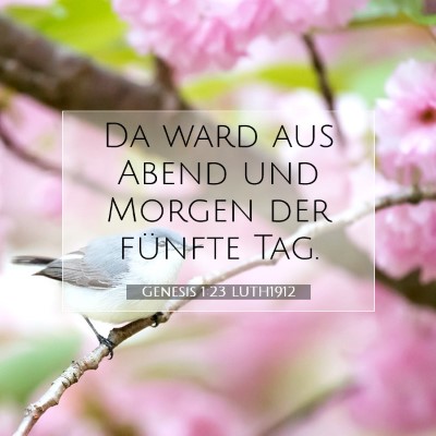 Picture 07 - Genesis 1:23 LUTH1912 - Da ward aus Abend und Morgen der fünfte - Bible Verse Picture
