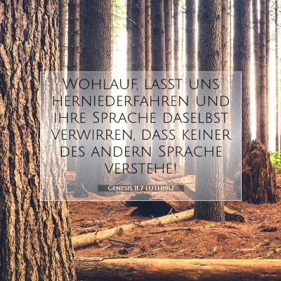 Picture 07 - Genesis 11:7 LUTH1912 - Wohlauf, laßt uns herniederfahren und ihre - Bible Verse Picture