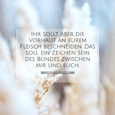 Picture 07 - Genesis 17:11 LUTH1912 - Ihr sollt aber die Vorhaut an eurem Fleisch - Bible Verse Picture