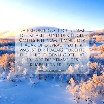 Picture 07 - Genesis 21:17 LUTH1912 - Da erhörte Gott die Stimme des Knaben. Und der - Bible Verse Picture