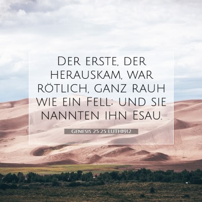 Picture 07 - Genesis 25:25 LUTH1912 - Der erste, der herauskam, war rötlich, ganz rauh - Bible Verse Picture