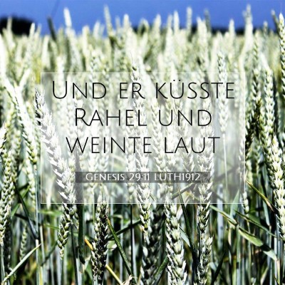 Picture 07 - Genesis 29:11 LUTH1912 - Und er küßte Rahel und weinte - Bible Verse Picture