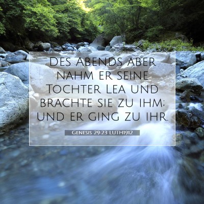 Picture 07 - Genesis 29:23 LUTH1912 - Des Abends aber nahm er seine Tochter Lea und - Bible Verse Picture
