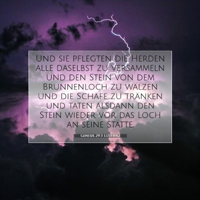 Picture 07 - Genesis 29:3 LUTH1912 - Und sie pflegten die Herden alle daselbst zu - Bible Verse Picture