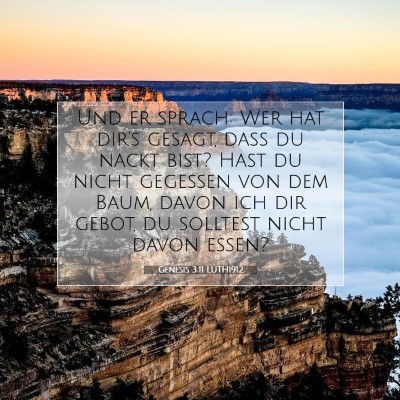 Picture 07 - Genesis 3:11 LUTH1912 - Und er sprach: Wer hat dir's gesagt, daß du - Bible Verse Picture