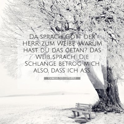 Picture 07 - Genesis 3:13 LUTH1912 - Da sprach Gott der HERR zum Weibe: Warum hast du - Bible Verse Picture