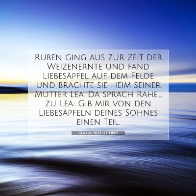 Picture 07 - Genesis 30:14 LUTH1912 - Ruben ging aus zur Zeit der Weizenernte und fand - Bible Verse Picture