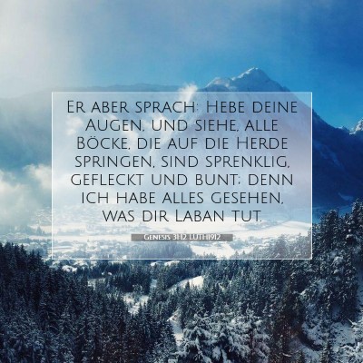 Picture 07 - Genesis 31:12 LUTH1912 - Er aber sprach: Hebe deine Augen, und siehe, alle - Bible Verse Picture