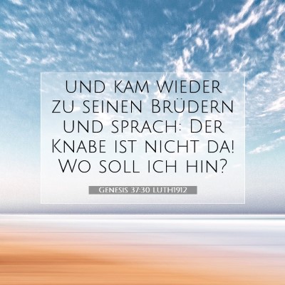 Picture 07 - Genesis 37:30 LUTH1912 - und kam wieder zu seinen Brüdern und sprach: Der - Bible Verse Picture