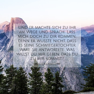 Picture 07 - Genesis 38:16 LUTH1912 - Und er machte sich zu ihr am Wege und sprach: - Bible Verse Picture