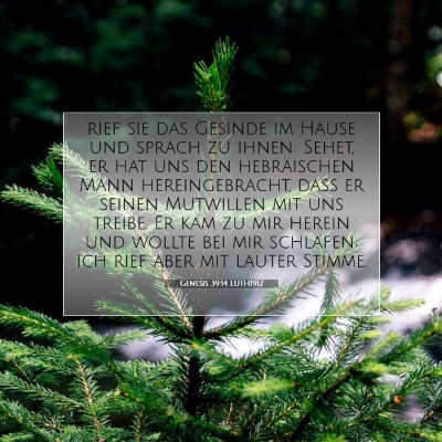 Picture 07 - Genesis 39:14 LUTH1912 - rief sie das Gesinde im Hause und sprach zu - Bible Verse Picture