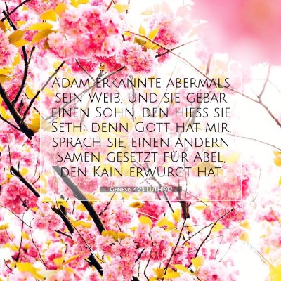 Picture 07 - Genesis 4:25 LUTH1912 - Adam erkannte abermals sein Weib, und sie gebar - Bible Verse Picture