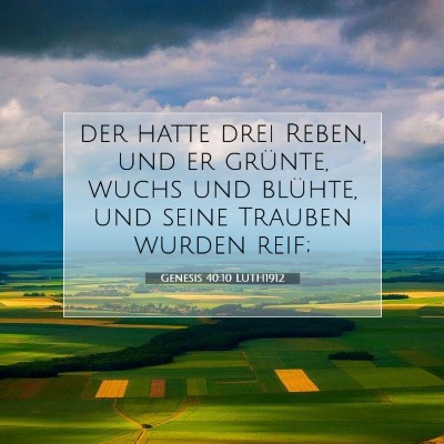 Picture 07 - Genesis 40:10 LUTH1912 - der hatte drei Reben, und er grünte, wuchs und - Bible Verse Picture