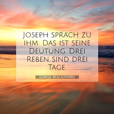 Picture 07 - Genesis 40:12 LUTH1912 - Joseph sprach zu ihm: Das ist seine Deutung. Drei - Bible Verse Picture