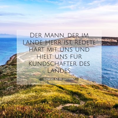 Picture 07 - Genesis 42:30 LUTH1912 - Der Mann, der im Lande Herr ist, redete hart mit - Bible Verse Picture