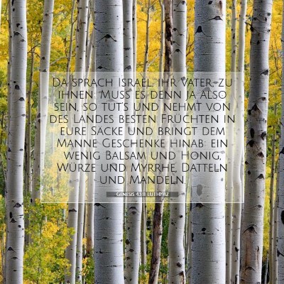 Picture 07 - Genesis 43:11 LUTH1912 - Da sprach Israel, ihr Vater, zu ihnen: Muß es - Bible Verse Picture
