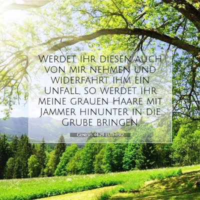 Picture 07 - Genesis 44:29 LUTH1912 - Werdet ihr diesen auch von mir nehmen und - Bible Verse Picture