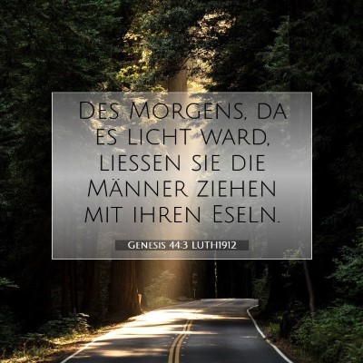 Picture 07 - Genesis 44:3 LUTH1912 - Des Morgens, da es licht ward, ließen sie die - Bible Verse Picture