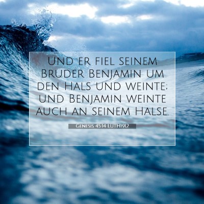 Picture 07 - Genesis 45:14 LUTH1912 - Und er fiel seinem Bruder Benjamin um den Hals - Bible Verse Picture