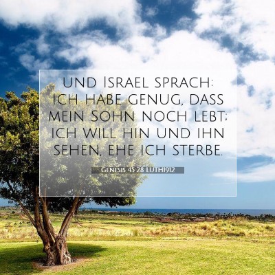 Picture 07 - Genesis 45:28 LUTH1912 - und Israel sprach: Ich habe genug, daß mein Sohn - Bible Verse Picture