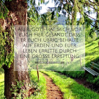Picture 07 - Genesis 45:7 LUTH1912 - Aber Gott hat mich vor euch her gesandt, daß er - Bible Verse Picture