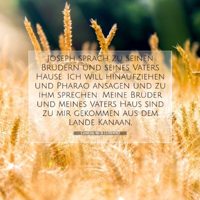 Picture 07 - Genesis 46:31 LUTH1912 - Joseph sprach zu seinen Brüdern und seines - Bible Verse Picture