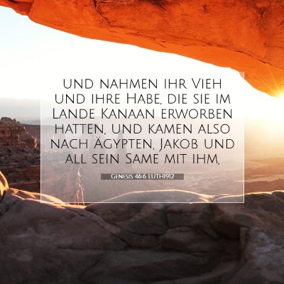 Picture 07 - Genesis 46:6 LUTH1912 - und nahmen ihr Vieh und ihre Habe, die sie im - Bible Verse Picture