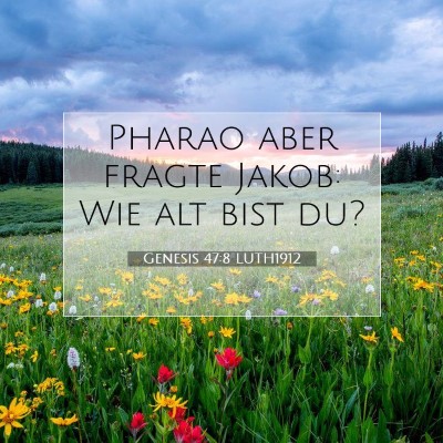 Picture 07 - Genesis 47:8 LUTH1912 - Pharao aber fragte Jakob: Wie alt bist - Bible Verse Picture