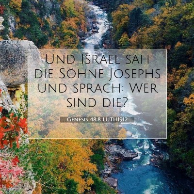 Picture 07 - Genesis 48:8 LUTH1912 - Und Israel sah die Söhne Josephs und sprach: Wer - Bible Verse Picture