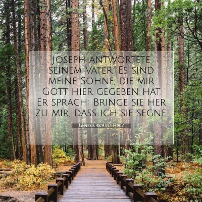 Picture 07 - Genesis 48:9 LUTH1912 - Joseph antwortete seinem Vater: Es sind meine - Bible Verse Picture
