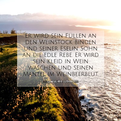 Picture 07 - Genesis 49:11 LUTH1912 - Er wird sein Füllen an den Weinstock binden und - Bible Verse Picture