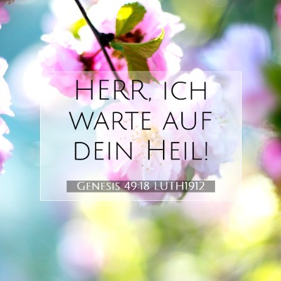 Picture 07 - Genesis 49:18 LUTH1912 - HERR, ich warte auf dein - Bible Verse Picture