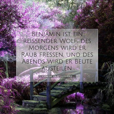 Picture 07 - Genesis 49:27 LUTH1912 - Benjamin ist ein reißender Wolf; des Morgens - Bible Verse Picture