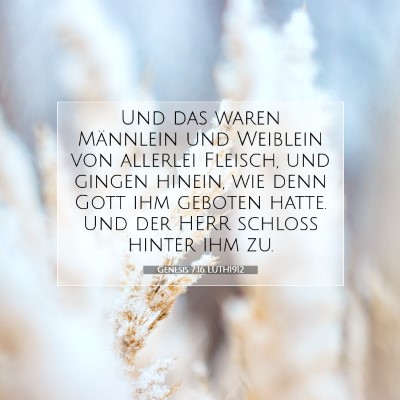 Picture 07 - Genesis 7:16 LUTH1912 - Und das waren Männlein und Weiblein von allerlei - Bible Verse Picture
