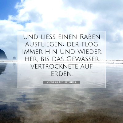 Picture 07 - Genesis 8:7 LUTH1912 - und ließ einen Raben ausfliegen; der flog immer - Bible Verse Picture