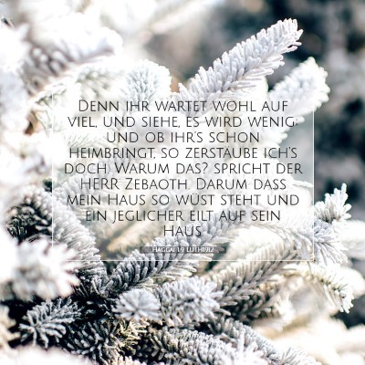 Picture 07 - Haggai 1:9 LUTH1912 - Denn ihr wartet wohl auf viel, und siehe, es wird - Bible Verse Picture