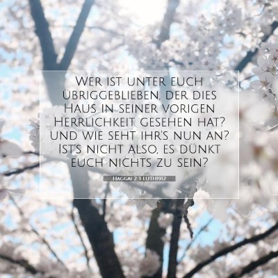 Picture 07 - Haggai 2:3 LUTH1912 - Wer ist unter euch übriggeblieben, der dies Haus - Bible Verse Picture