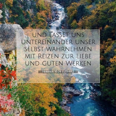 Picture 07 - Hebräer 10:24 LUTH1912 - und lasset uns untereinander unser selbst - Bible Verse Picture