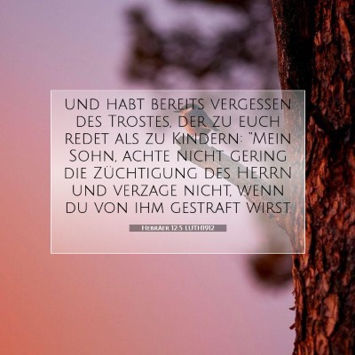 Picture 07 - Hebräer 12:5 LUTH1912 - und habt bereits vergessen des Trostes, der zu - Bible Verse Picture