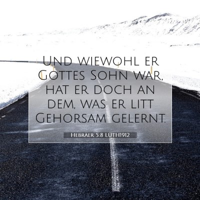 Picture 07 - Hebräer 5:8 LUTH1912 - Und wiewohl er Gottes Sohn war, hat er doch an - Bible Verse Picture