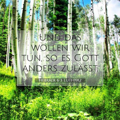 Picture 07 - Hebräer 6:3 LUTH1912 - Und das wollen wir tun, so es Gott anders - Bible Verse Picture