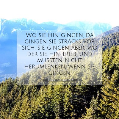 Picture 07 - Hesekiel 1:12 LUTH1912 - Wo sie hin gingen, da gingen sie stracks vor - Bible Verse Picture