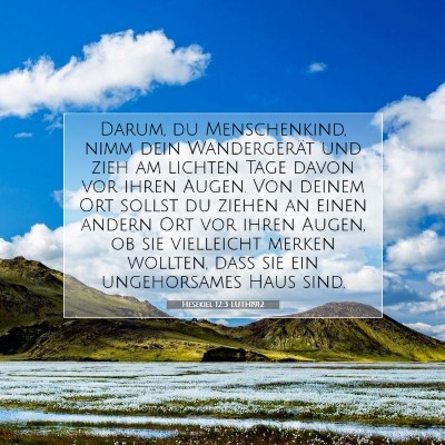 Picture 07 - Hesekiel 12:3 LUTH1912 - Darum, du Menschenkind, nimm dein Wandergerät - Bible Verse Picture