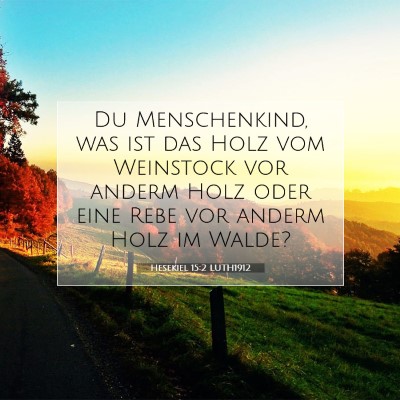 Picture 07 - Hesekiel 15:2 LUTH1912 - Du Menschenkind, was ist das Holz vom Weinstock - Bible Verse Picture