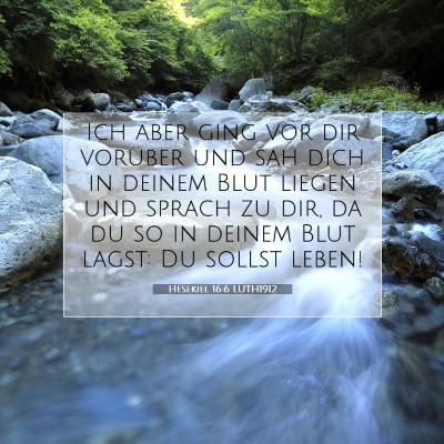 Picture 07 - Hesekiel 16:6 LUTH1912 - Ich aber ging vor dir vorüber und sah dich in - Bible Verse Picture