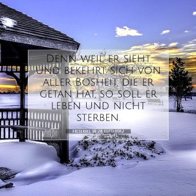 Picture 07 - Hesekiel 18:28 LUTH1912 - Denn weil er sieht und bekehrt sich von aller - Bible Verse Picture
